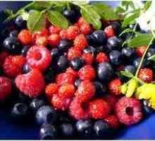 Fructe de padure cu pancreatită