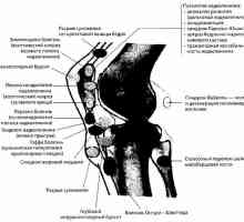 Radiații si diagnostic instrumental al genunchiului patologiei articulare