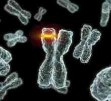 Mutațiile care duc la boli ereditare la om