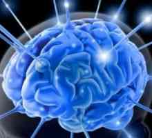 Sistemul de creier gliale