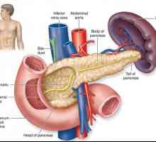 Pancreatită acută în diabetul zaharat