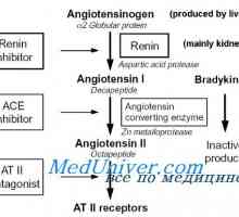 Hipertensiune Angiotensina. hipertensiune Goldblatt