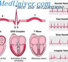 Ciclu cardiac. electrocardiograme de comunicare și ciclul cardiac