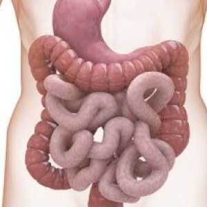 HIV și tractului gastro-intestinal