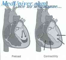 Anomalii ale rinichiului embrionar. Forme fetale patologie rinichi