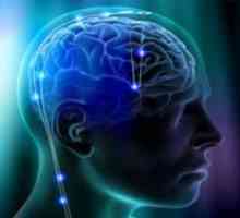 Sistemul de creier arahnoidici Intermeningeal