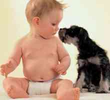 Siguranța copiilor cu animale