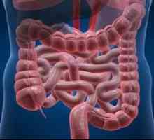 Ce se întâmplă în dysbacteriosis intestinal?