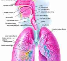 Diagnosticul și diagnosticul diferențial al pneumoniei