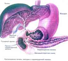 Hepatomegalia, steatoza pancreatită și pancreatice și hepatice