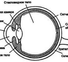 Ochiul ca instrument optic