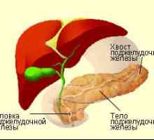 Dimensiunile capului pancreasului, rata de tratare a formațiunilor de volum
