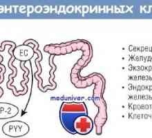 Hormoni și funcția lor intestinale