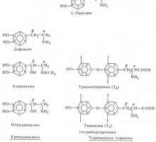 Hormonii - derivați de aminoacizi