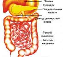 Hernia pancreasului