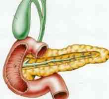 Funcția umorală a pancreasului