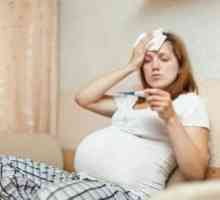 Infecții în timpul sarcinii: tratament, simptome, semne, cauze