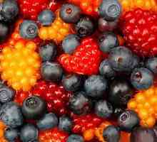 Fructe de padure pentru gastrita