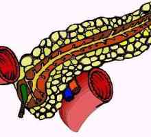 Ehopriznaki difuze modificări ale pancreasului
