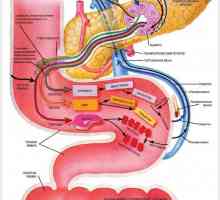 Insuficienței pancreatice endocrine