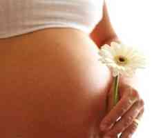 Cum să se pregătească pentru sarcina