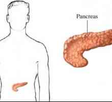 Ce face pancreatic uman?