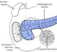 Care sunt hormoni produse de pancreas?