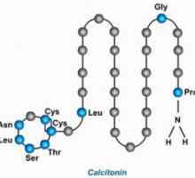 Calcitonina