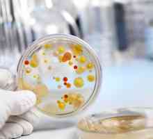 E. coli și bacterii suprainfectia