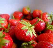 Căpșuni în pancreatita, este posibil să aibă căpșuni pentru pancreas?