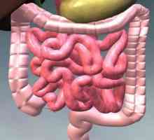 Kolonoptoz intestinului prolapsul colonului transversal