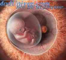 Membrele a embrionului. Formarea Coverslip-fat