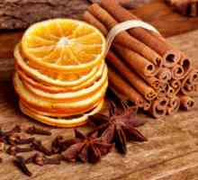 Cinnamon cu gastrită