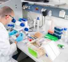Laboratorul de cercetare și un rol esențial în bolile urologice