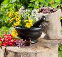 Tratamentul pe bază de plante pe bază de plante medicina gastrită