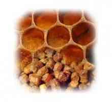 Tratamentul de polen gastrita