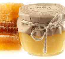 Tratamentul gastroduodenită miere și propolis