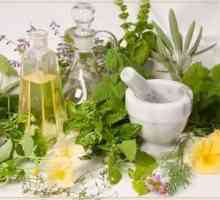 Plante aromatice tratamentul hemoroizilor