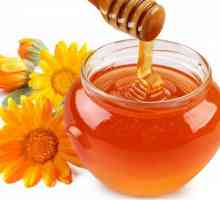 Tratamentul cancerului gastric cu miere și propolis