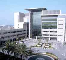Tratamentul în Emiratele Arabe Unite Spitalul American Dubai