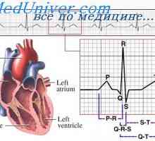 Distribuția curentului electric în jurul inimii. ECG în jurul inimii