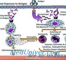 Mecanisme de reacții alergice. Patogeneza alergiilor