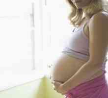 Măsuri de precauție în timpul sarcinii