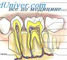Metabolismul mineral în dinți. patologia dentară