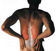 Spasme musculare ale spatelui (lombară)