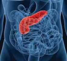 Insuficiență pancreatică: simptome, tratament, cauze, simptome