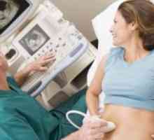 Evaluarea și gestionarea de origine extrapulmonara de insuficiență respiratorie în timpul sarcinii
