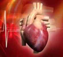 Tumorile inimii: benigne și maligne, tratament, simptome, cauze, simptome, clasificare, tipuri