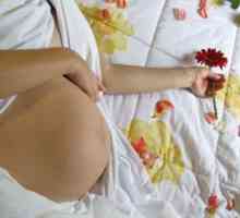 Tractului urinar in special in timpul sarcinii