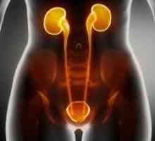 Infecții acute ale tractului urinar superior: simptome, tratament